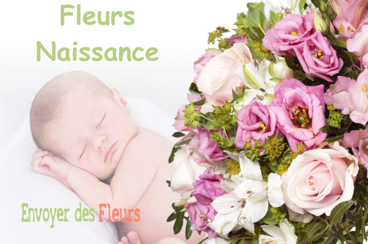 lIVRAISON FLEURS NAISSANCE à VOUREY